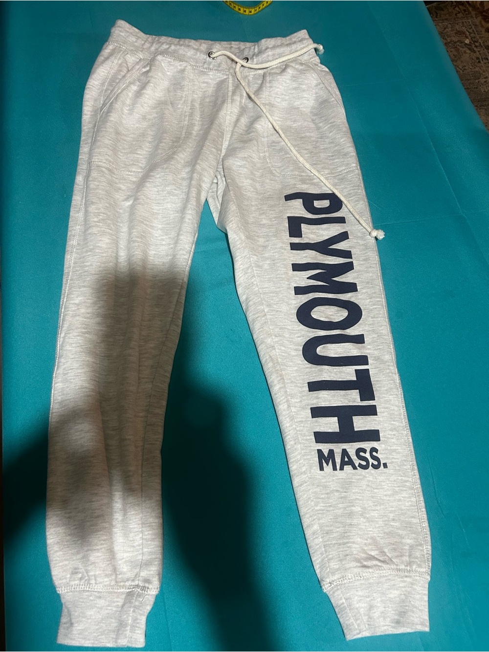 Pacifica Light Gray Sweatpants with Navy Plymouth Print